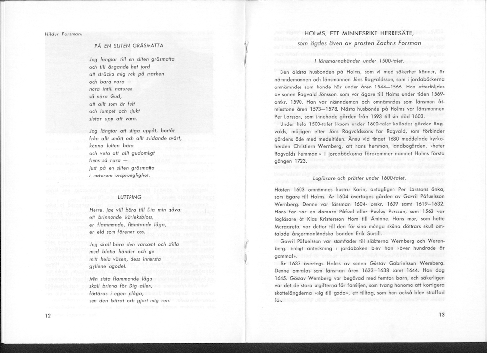 Sukuviesti 15, sivut 12 ja 13