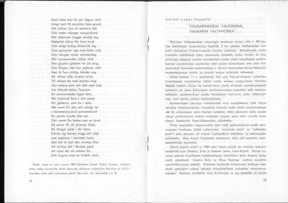 Sukuviesti 21, sivut 12 ja 13