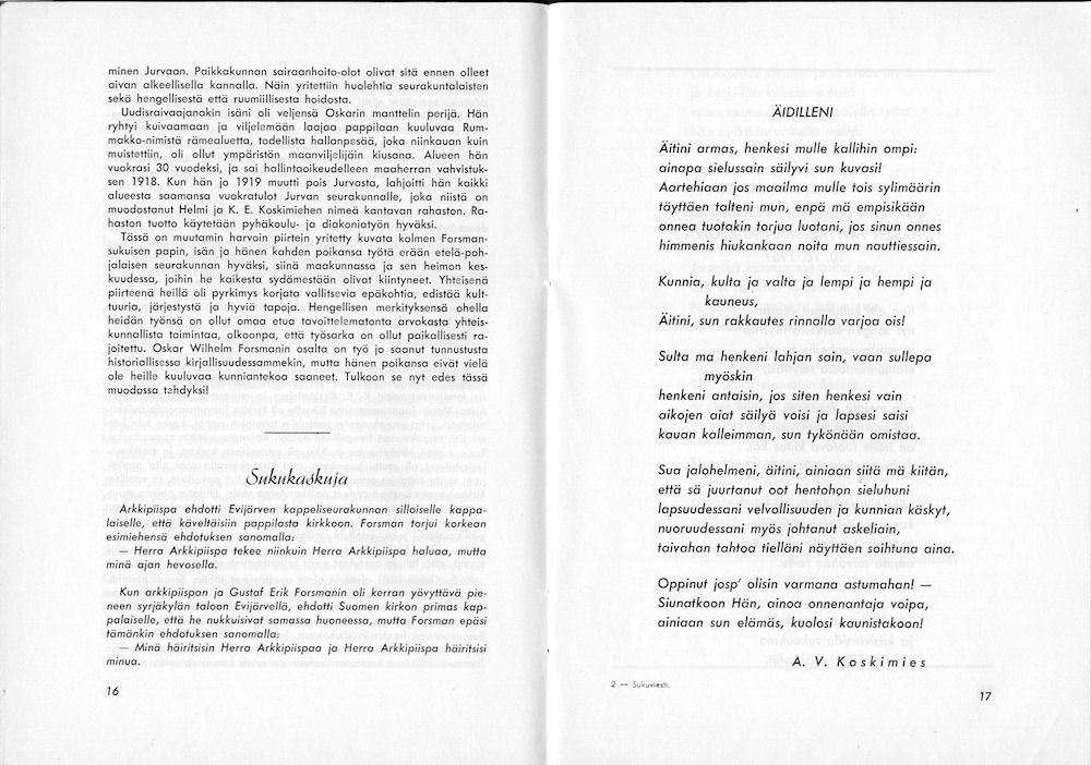 Sukuviesti 3, sivut 16 ja 17