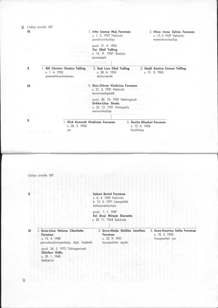 Sukuviesti 34, sivut 28 ja 29