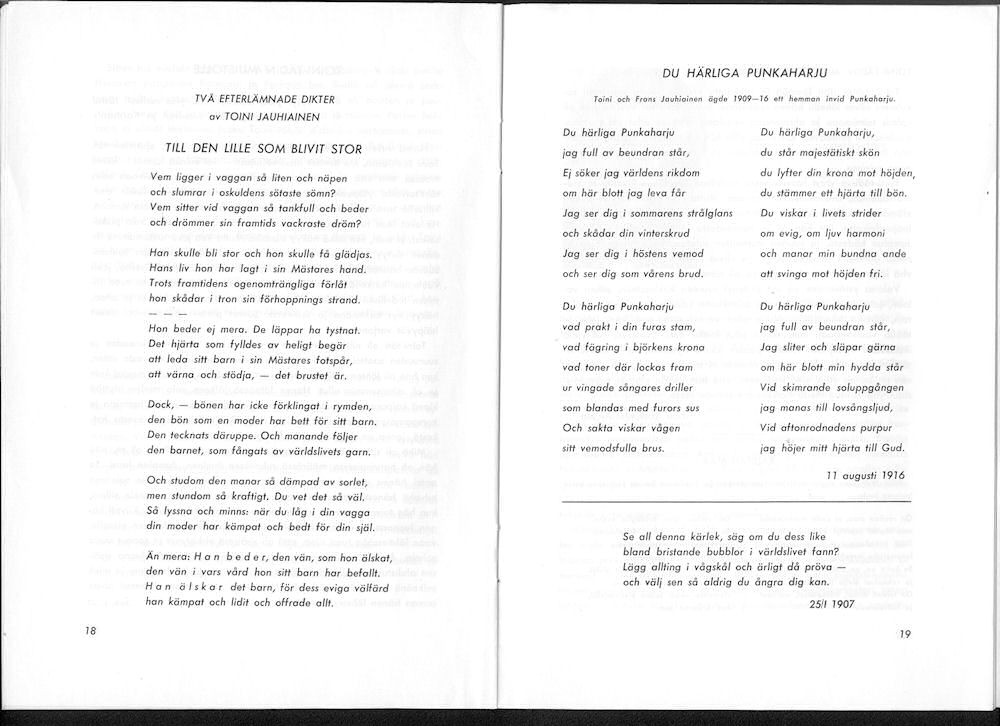 Sukuviesti 6, sivut 18 ja 19